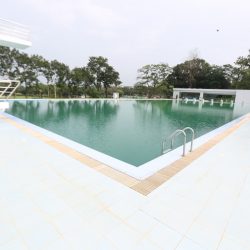 Swimming Pool-MensLogistics (8)